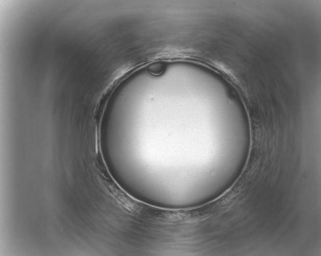 X0000064051219200602101442