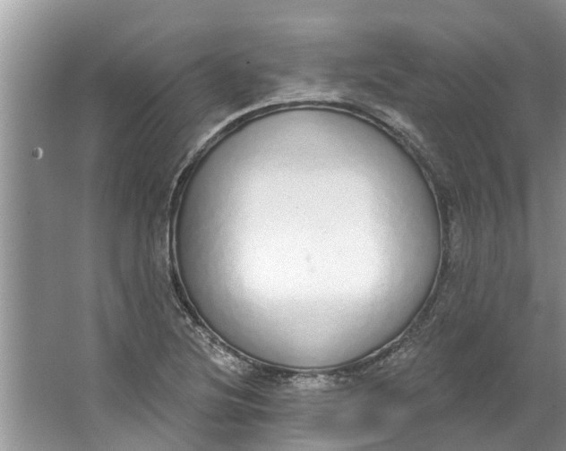 X0000064051220200602101442