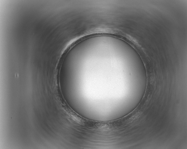 X0000064051222200602101442