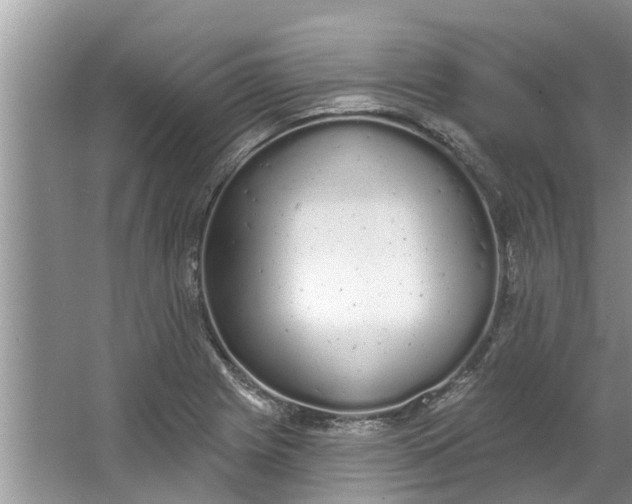 X0000064051225200602101442