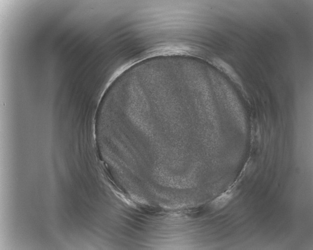 X0000064051226200602101442