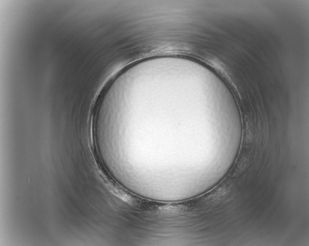 X0000064051227200602101442