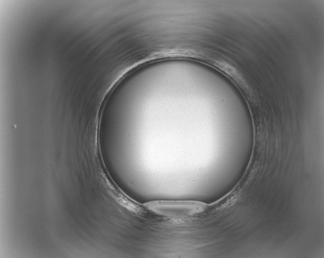 X0000064051228200602101442