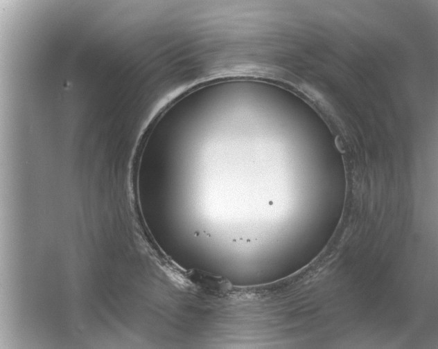 X0000064051230200602101442