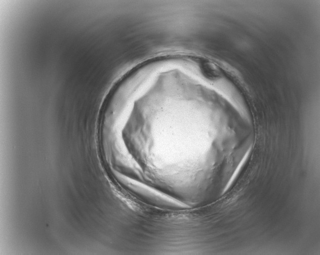 X0000064051231200602101442