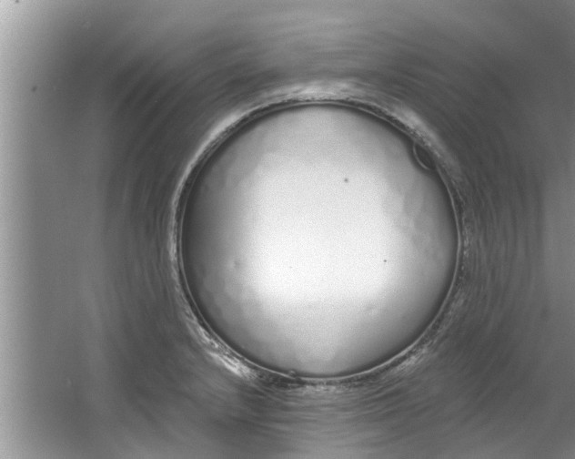 X0000064051232200602101442