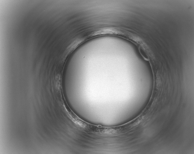 X0000064051233200602101442