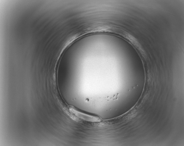 X0000064051234200602101442