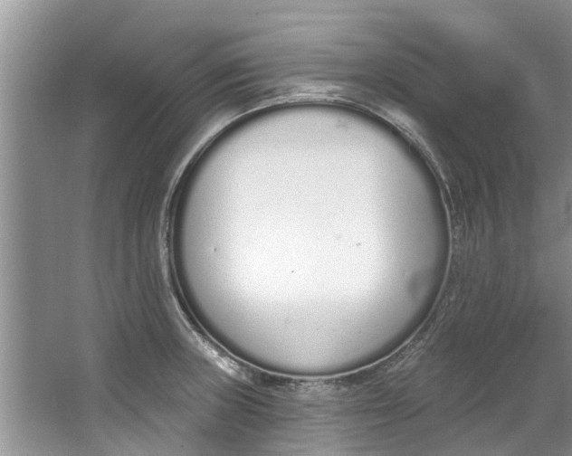 X0000064051235200602101442