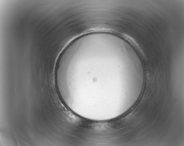 X0000064051236200602101442