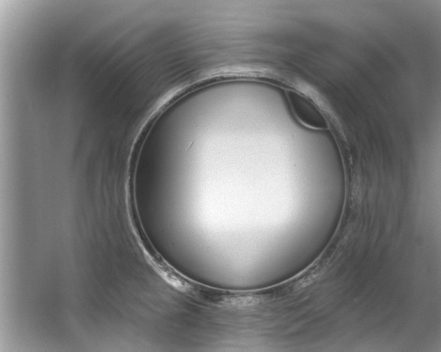 X0000064051237200602101442