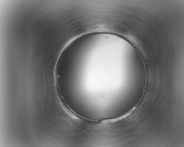 X0000064051238200602101442