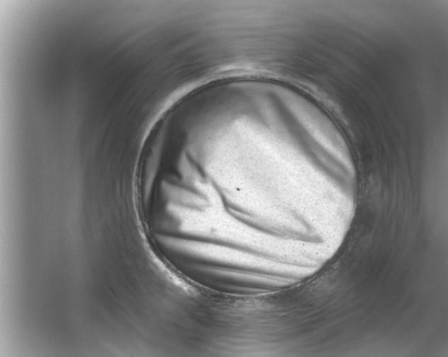 X0000064051239200602101442