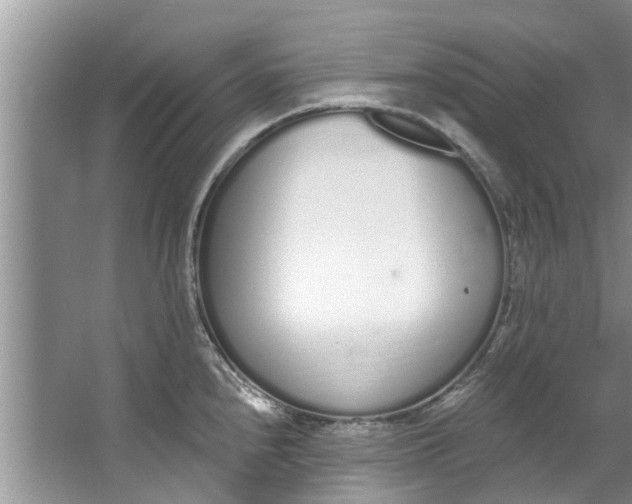 X0000064051240200602101442