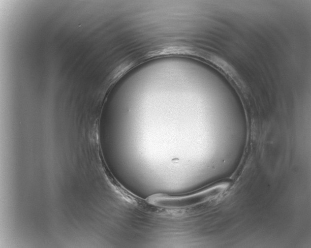 X0000064051241200602101442