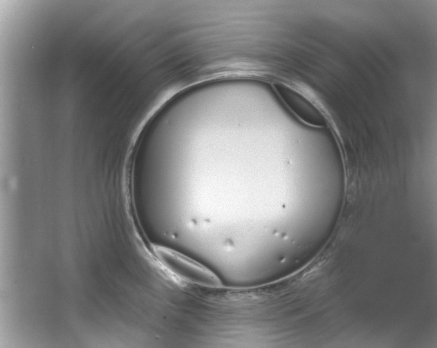 X0000064051243200602101442