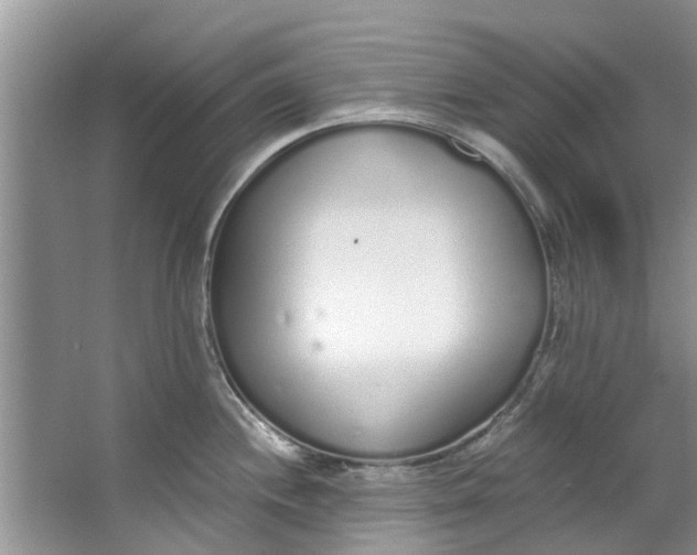 X0000064051244200602101442