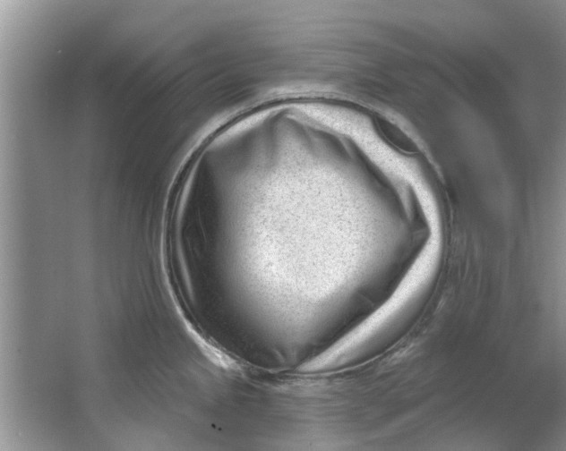 X0000064051245200602101442