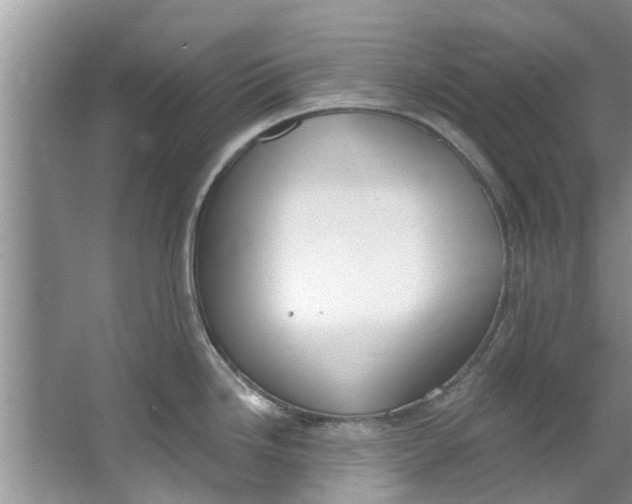 X0000064051246200602101442