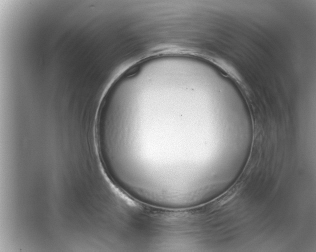 X0000064051247200602101442