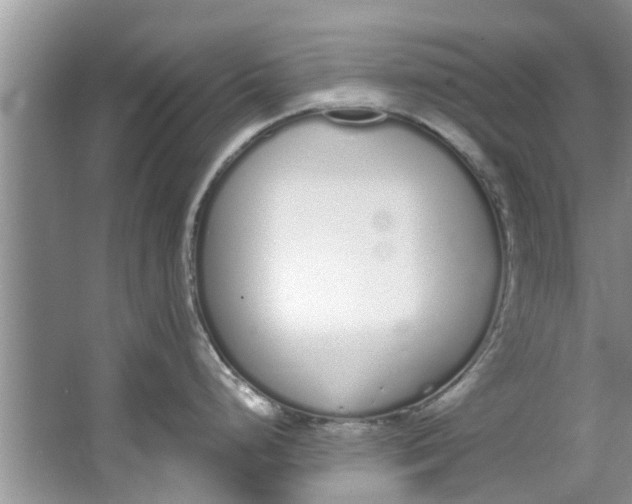 X0000064051248200602101442