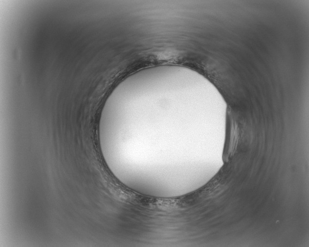 X0000064051249200602101441