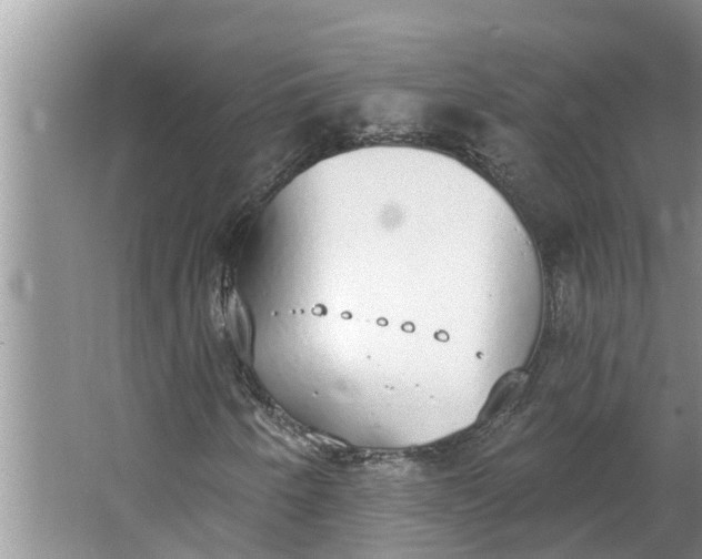 X0000064051250200602101441