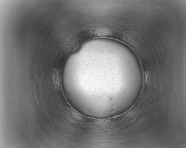 X0000064051251200602101441