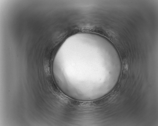 X0000064051252200602101441