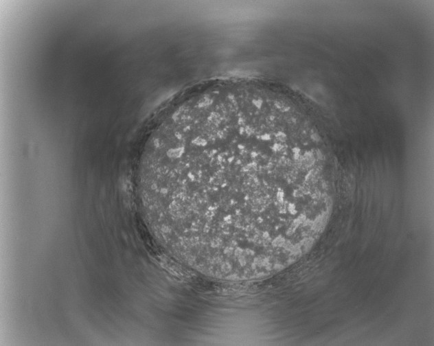 X0000064051254200602101441