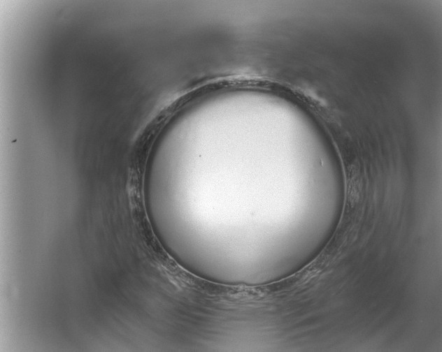 X0000064051255200602101441