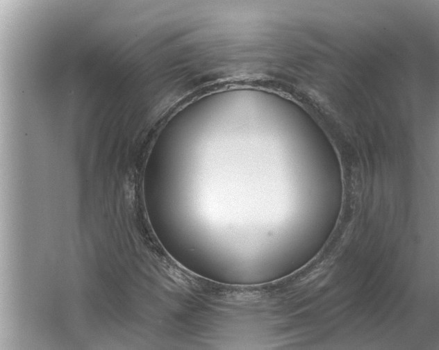 X0000064051257200602101441