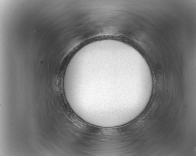 X0000064051258200602101441