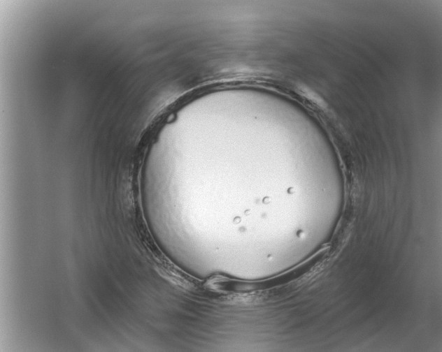 X0000064051259200602101441