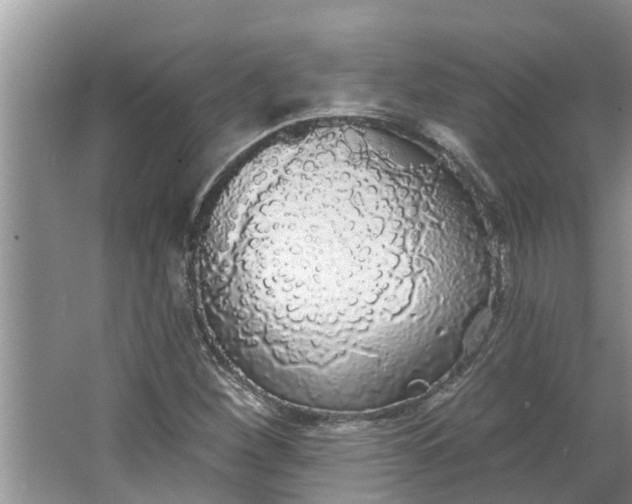 X0000064051260200602101441