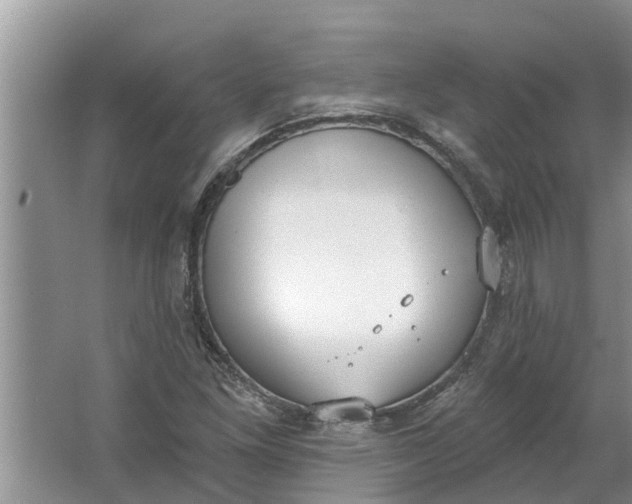 X0000064051261200602101441