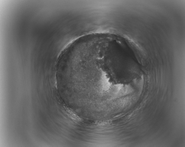 X0000064051262200602101441