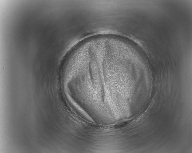 X0000064051263200602101441