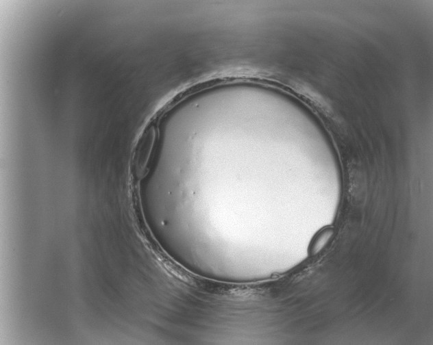 X0000064051264200602101441