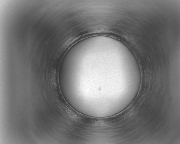 X0000064051265200602101441