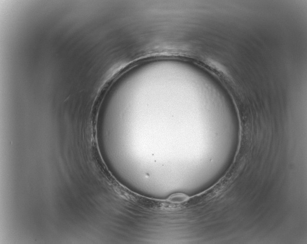 X0000064051267200602101441