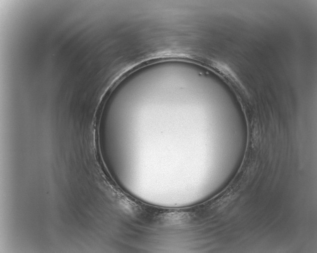 X0000064051268200602101441