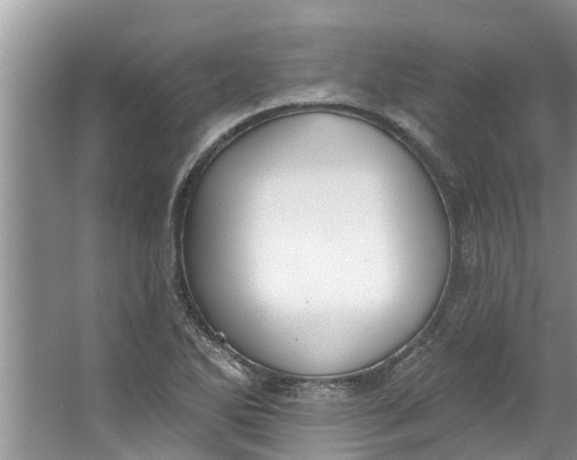 X0000064051270200602101441