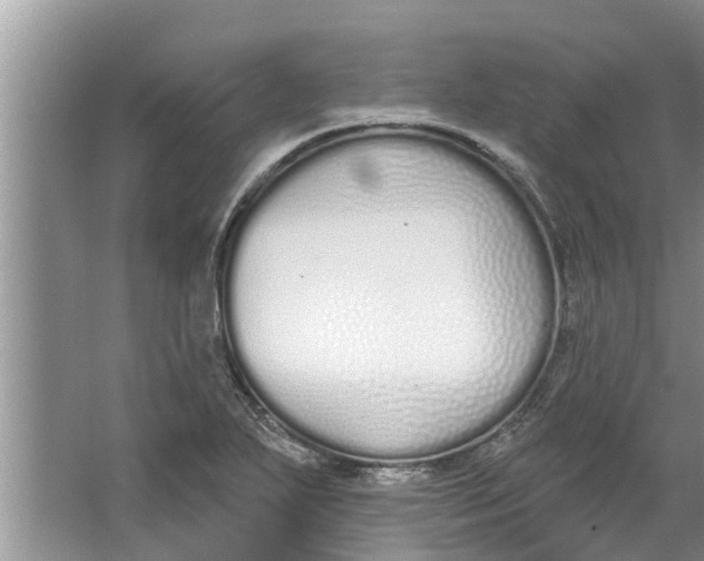 X0000064051271200602101441