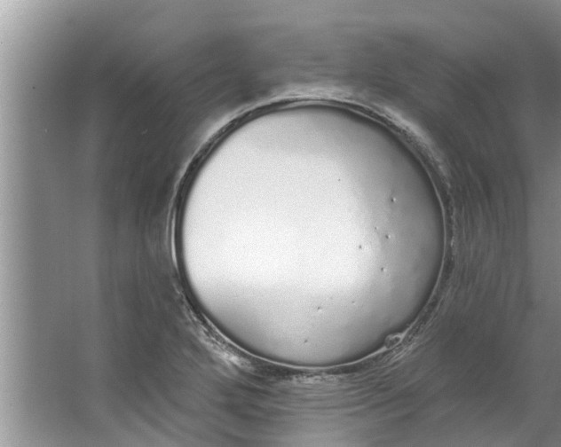 X0000064051272200602101441