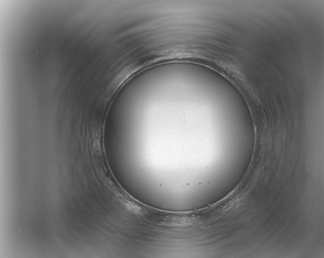 X0000064051273200602101441