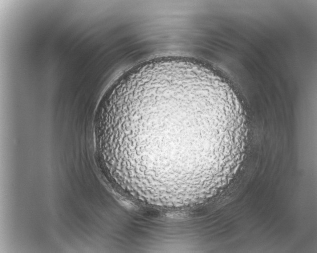 X0000064051274200602101441