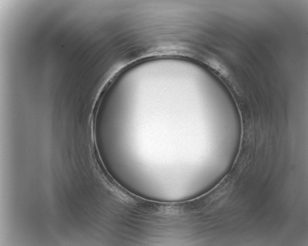 X0000064051275200602101441