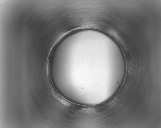 X0000064051276200602101441