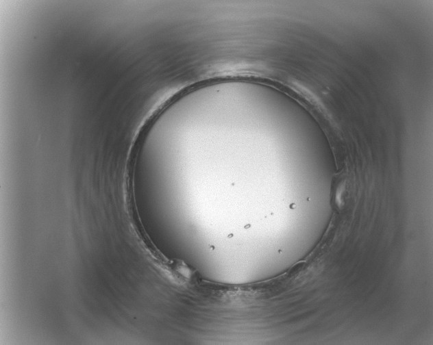 X0000064051277200602101441